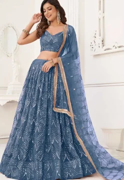 Embroidered Net Lehenga in Blue