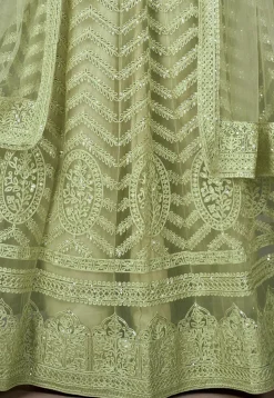 Embroidered Net Lehenga in Light Green