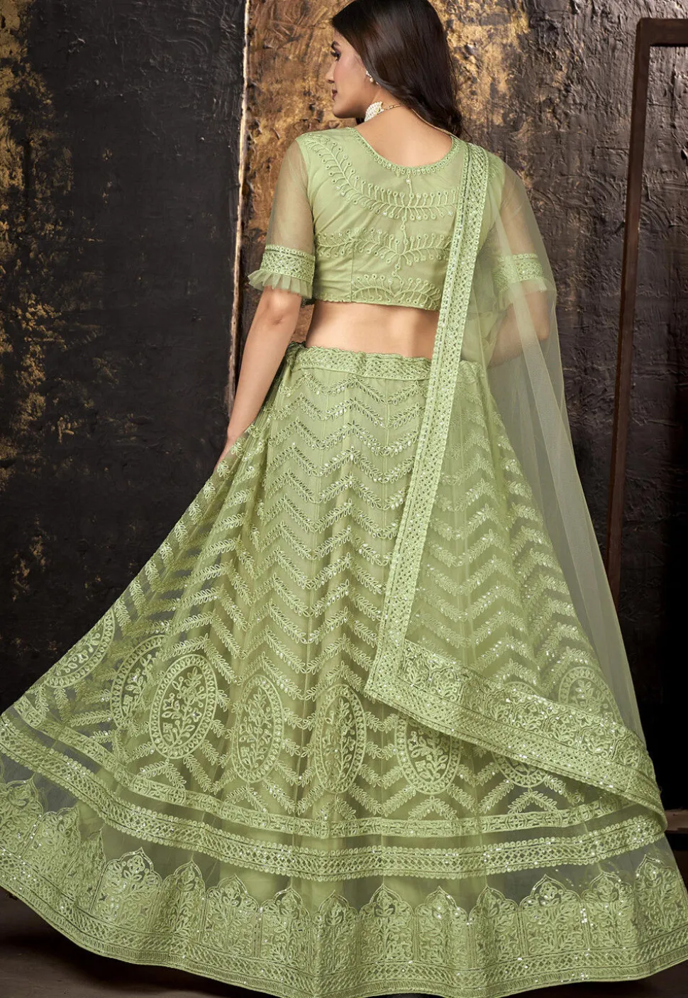Embroidered Net Lehenga in Light Green