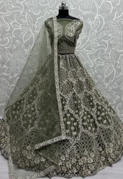 Embroidered Net Lehenga in Olive Green