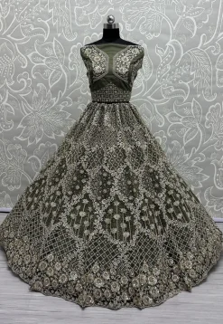 Embroidered Net Lehenga in Olive Green