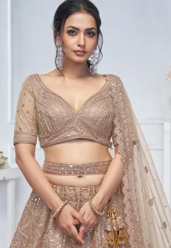 Embroidered Net Lehenga in Beige