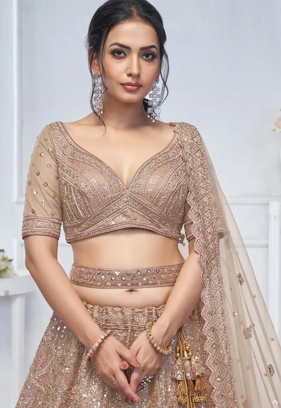 Embroidered Net Lehenga in Beige