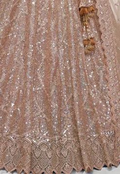 Embroidered Net Lehenga in Beige