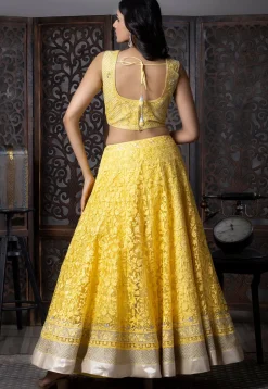 Embroidered Net Lehenga in Yellow