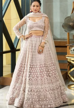 Embroidered Net Lehenga in Beige