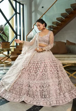 Embroidered Net Lehenga in Beige