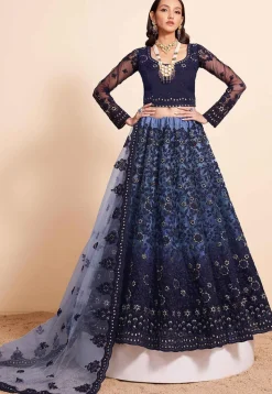 Embroidered Net Lehenga in Navy Blue