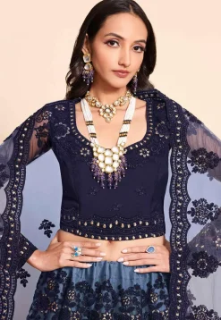 Embroidered Net Lehenga in Navy Blue
