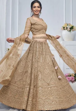 Embroidered Net Lehenga in Light Brown