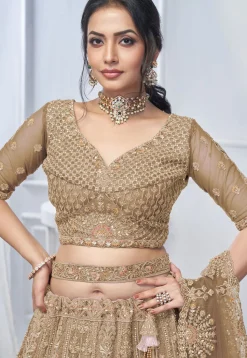 Embroidered Net Lehenga in Light Brown