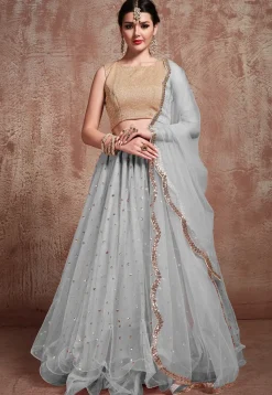 Embroidered Net Lehenga in Grey