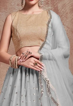 Embroidered Net Lehenga in Grey