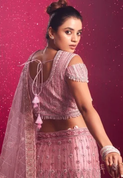 Embroidered Net Lehenga in Pink