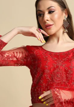 Embroidered Net Lehenga in Red