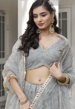 Embroidered Net Lehenga in Grey