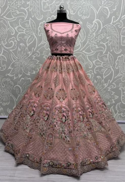 Embroidered Net Lehenga in Peach