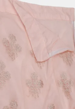 Embroidered Net Lehenga in Peach