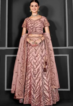 Embroidered Net Lehenga in Peach