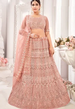 Embroidered Net Lehenga in Peach