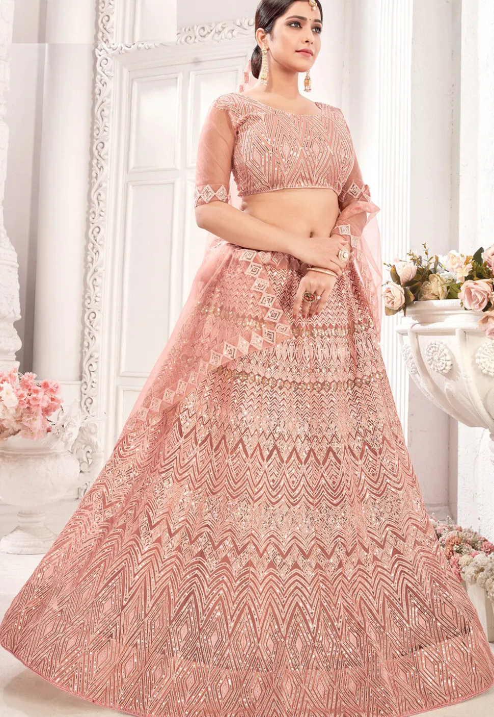 Embroidered Net Lehenga in Peach
