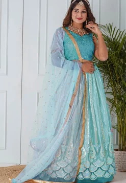 Embroidered Net Lehenga in Sky Blue