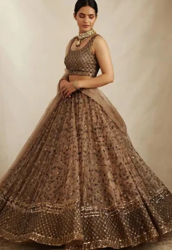 Embroidered Net Lehenga in Brown