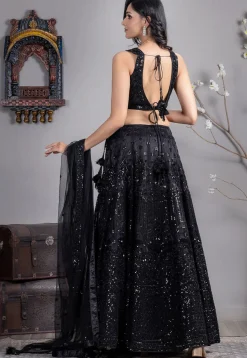 Embroidered Net Lehenga in Black
