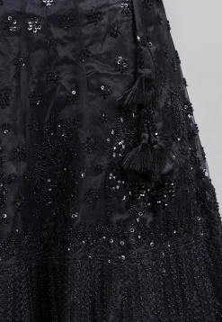 Embroidered Net Lehenga in Black