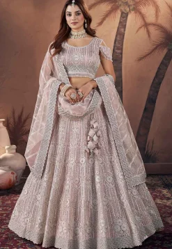 Embroidered Net Lehenga in Pink
