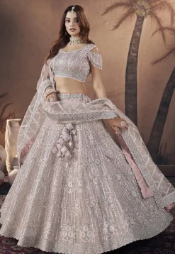 Embroidered Net Lehenga in Pink
