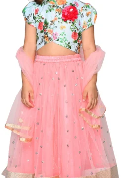 Embroidered Net Lehenga in Baby Pink