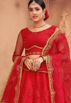 Embroidered Net Lehenga in Red
