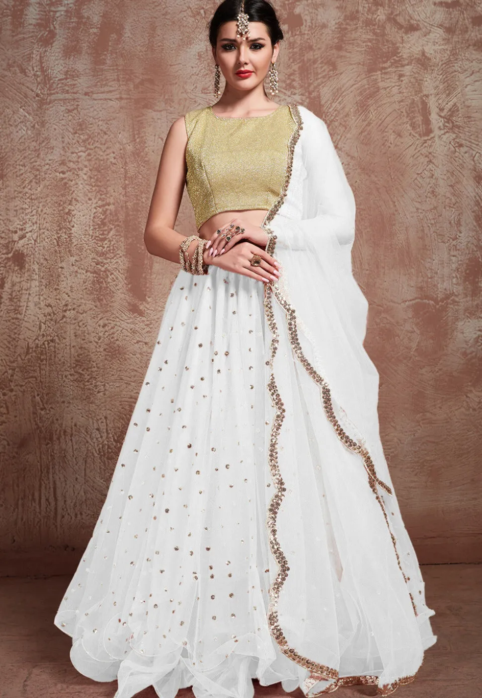 Embroidered Net Lehenga in White