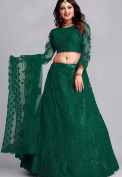 Embroidered Net Lehenga in Green