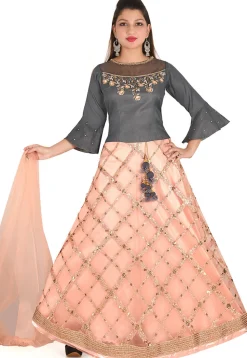 Embroidered Net Lehenga in Peach