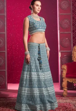 Embroidered Net Lehenga in Blue