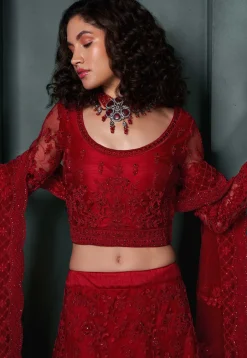 Embroidered Net Lehenga in Red