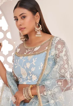 Embroidered Net Lehenga in Sky Blue