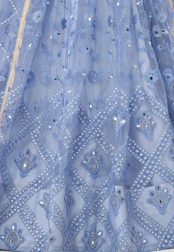 Embroidered Net Lehenga in Blue