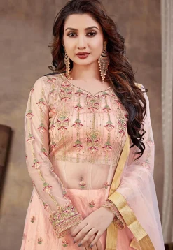 Embroidered Net Lehenga in Peach