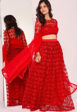 Embroidered Net Lehenga in Red