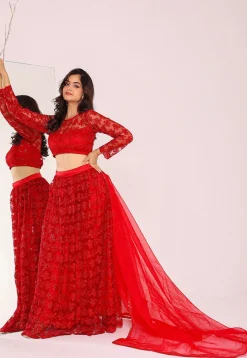 Embroidered Net Lehenga in Red