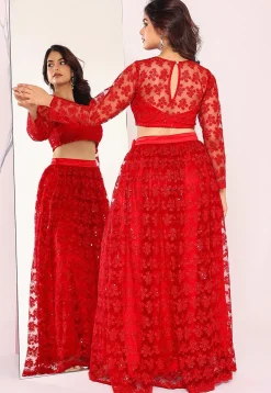 Embroidered Net Lehenga in Red
