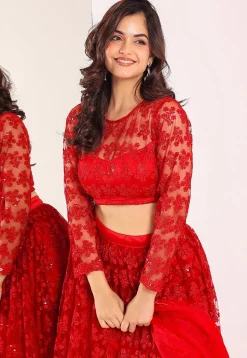 Embroidered Net Lehenga in Red