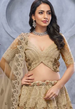 Embroidered Net Lehenga in Beige