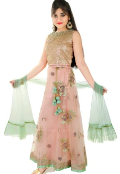 Embroidered Net Lehenga in Peach