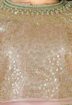 Embroidered Net Lehenga in Peach