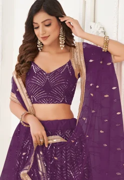 Embroidered Net Lehenga in Wine