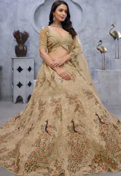 Embroidered Net Lehenga in Beige